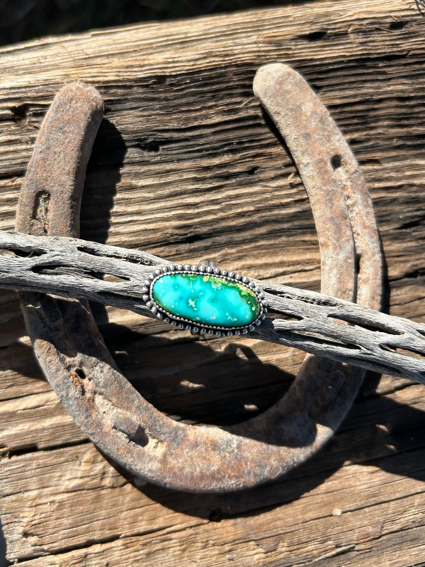 When Oceans Rise Ring