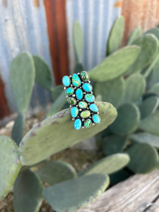 Sonoran Cluster Ring