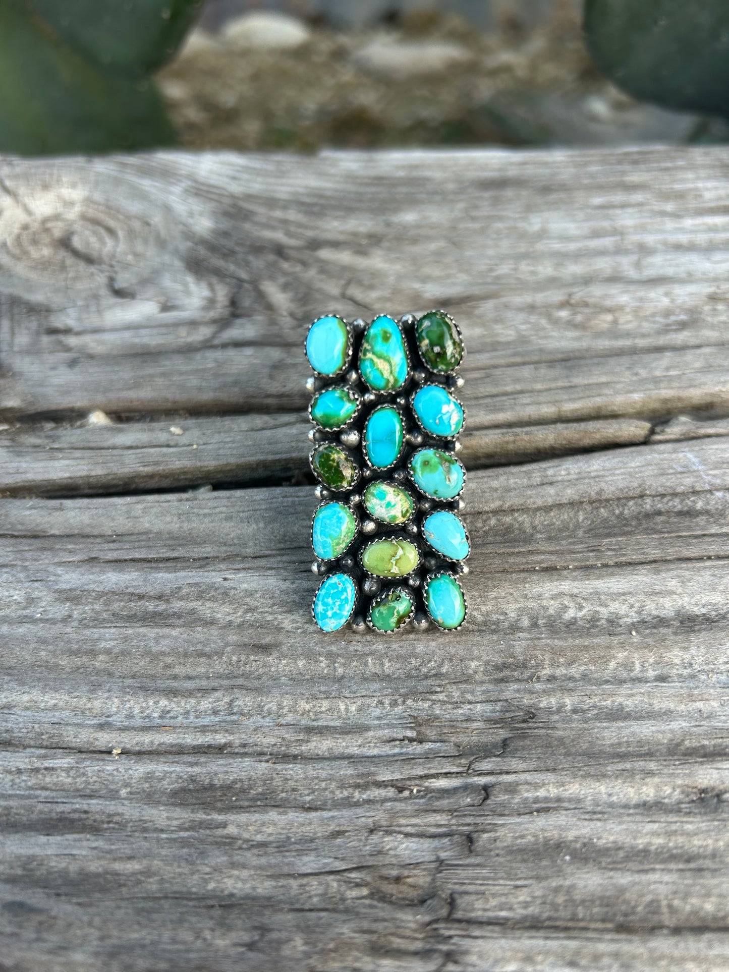 Sonoran Cluster Ring
